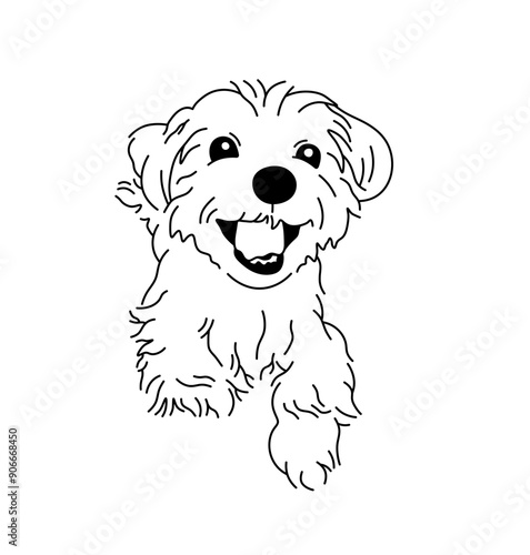 Vector isolated cute happy dog running shaggy terrier  colorless black and white contour line easy drawing