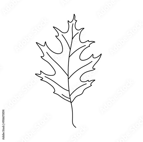 Vector isolated one single simple red oak leaf colorless black and white contour line easy drawing