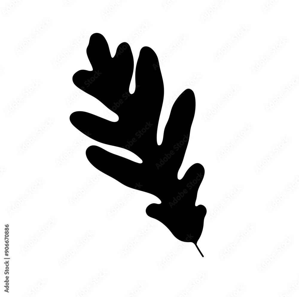 Obraz premium Vector isolated one single oak leaf colorless black and white outline silhouette shadow shape