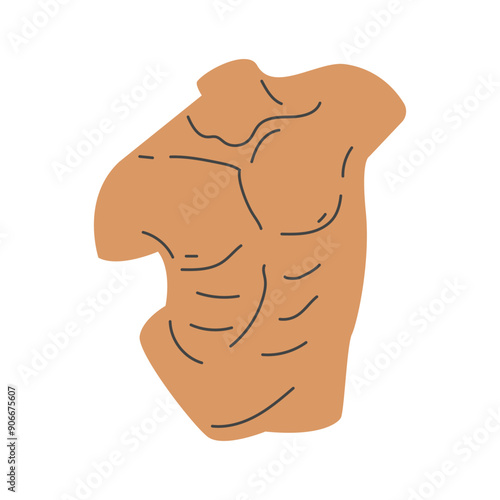 Human body part isolated on white background. Nude headless man torso.Vector illustration in flat style.