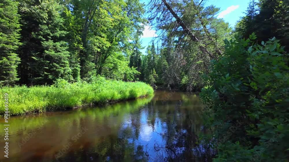 Spectacular scenery with green fir trees and Eels Creek river at summer. Ontario, Canada, North America. Travel and nature concept. Calm water landscape. Beautiful nature background. Spectacular scenery with green fir trees and Eels Creek river at summer. Ontario, Canada, North America. Travel and nature concept. Calm water landscape. Beautiful nature background.