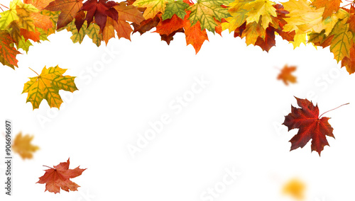 Fototapeta Naklejka Na Ścianę i Meble -  Beautiful yellow,red,orange foliage. Natural background. Border frame of colorful leaves. Vibrant fall colors.Autumn  leaves cut outs