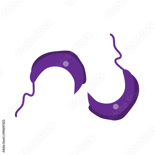 trypanosoma brucei