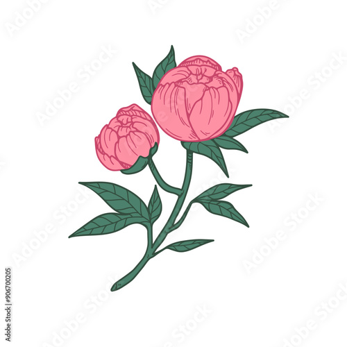 Flower branch in vintage style. Japan blossom, floral stem. Retro realistic p...
