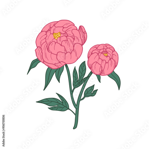 Japanese peony, floral branch in retro style. Japan flower blossom, stem. Bea...