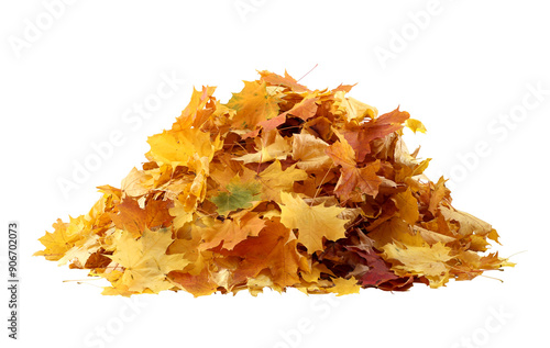 Pile of yellow autumn leaves isolated. A heap of different maple dry leaves cut out 