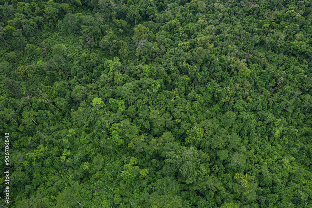Beautiful aerial top view of green forest in rural Thailand. Beautiful aerial top view of green forest in rural Thailand.