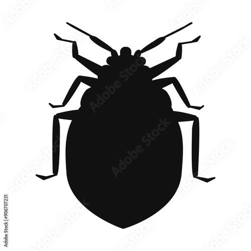 Illustration of bed bug silhouette. Black and white.