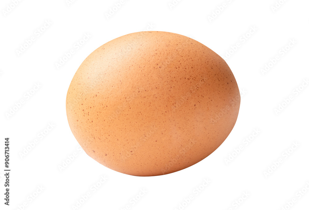 Side view of single brown chicken egg isolated in png file format Side view of single brown chicken egg isolated in png file format