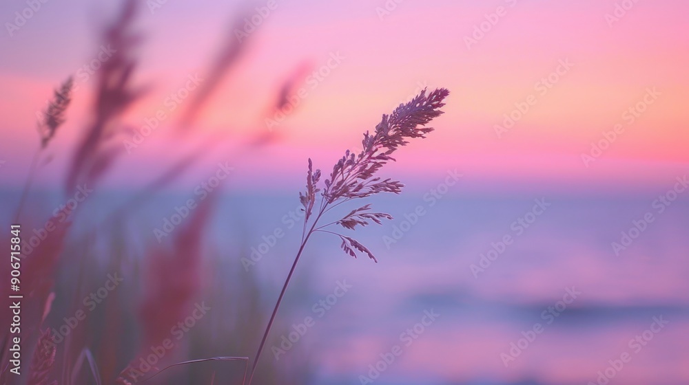 Close up of small grass stem at sunset with pastel pink and purple sea backdrop Close up of small grass stem at sunset with pastel pink and purple sea backdrop