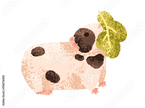 Guinea pig eating green leaf. Cute cavy, adorable funny rodent with food. Kaw...