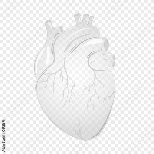 Transparent human heart. The heart with the venous system,for anatomy and study, medical or healthcare concept. Vector illustration
