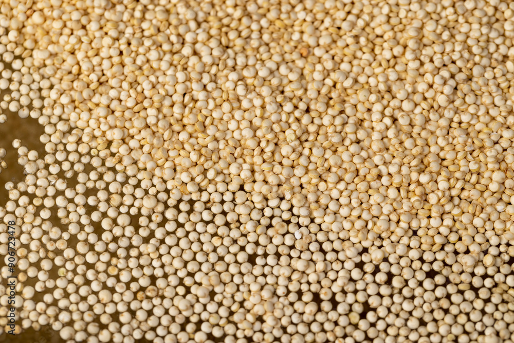 a large amount of quinoa porridge floats in clean water a large amount of quinoa porridge floats in clean water