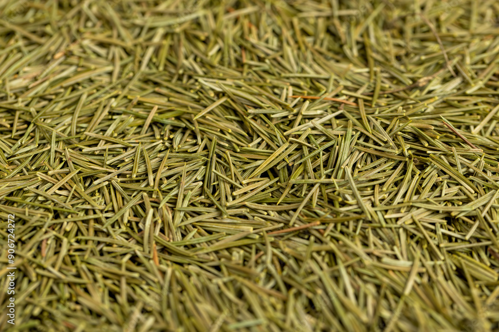 sharp dry spruce tree needles for fertilizing plants sharp dry spruce tree needles for fertilizing plants