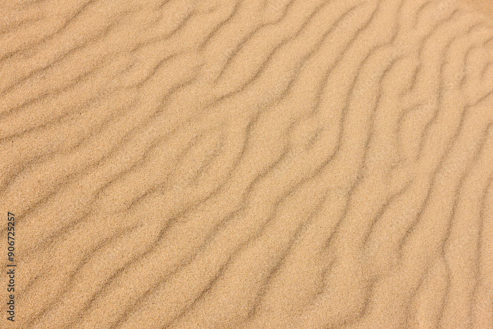 Rippled beach sand, partially frozen, at Harrington Beach State Park, Belgium, Wisconsin in late November Rippled beach sand, partially frozen, at Harrington Beach State Park, Belgium, Wisconsin in late November
