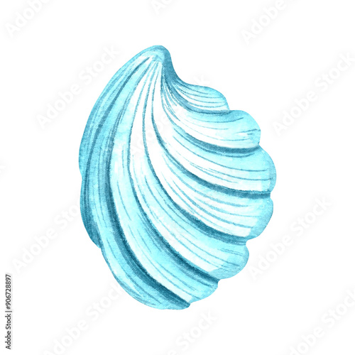 Sea scallop shell. Hand drawn watercolor illustration isolated of background. Underwater oceanic reef animals. Marine tropical theme. Exotic nautical design. Clipart for postcard, print, logo, sticker photo