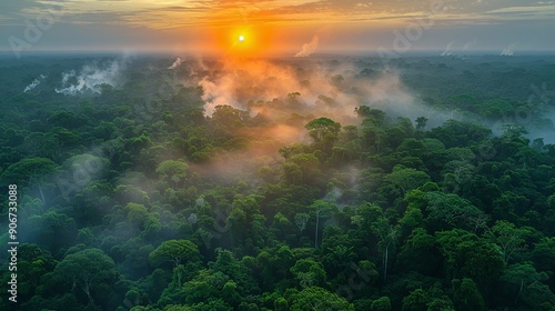 Mesmerizing photograph of a lush forest at sunrise with a blanket of fog and distant smoke, capturing the delicate balance of nature amidst changing climate conditions. high resolution Illustration,