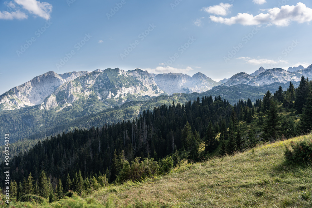 Fototapeta premium Majestic summer day in the Durmitor National park. Village Zabljak, Montenegro, Balkans, Europe. Scenic image of popular travel destination. Discover the beauty of earth. Hiking nature destination