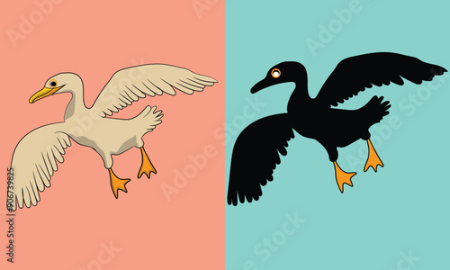 Colorful Bird and silhouette illustration design