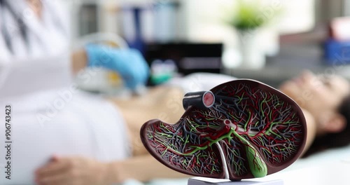 Ultrasound diagnosis of stomach and liver on abdominal cavity of woman in a clinic closeup. Diagnosis of internal organs by ultrasonic sensor concept