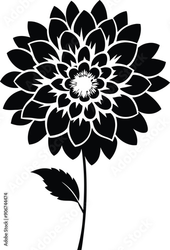 Black and white dahlia silhouette