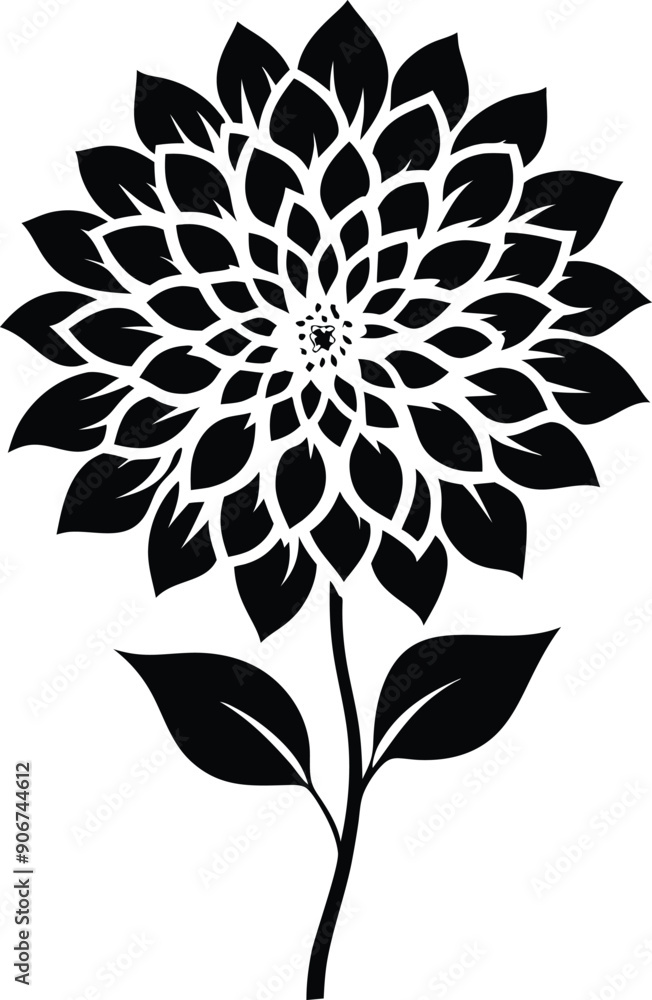 Black and white dahlia silhouette Black and white dahlia silhouette