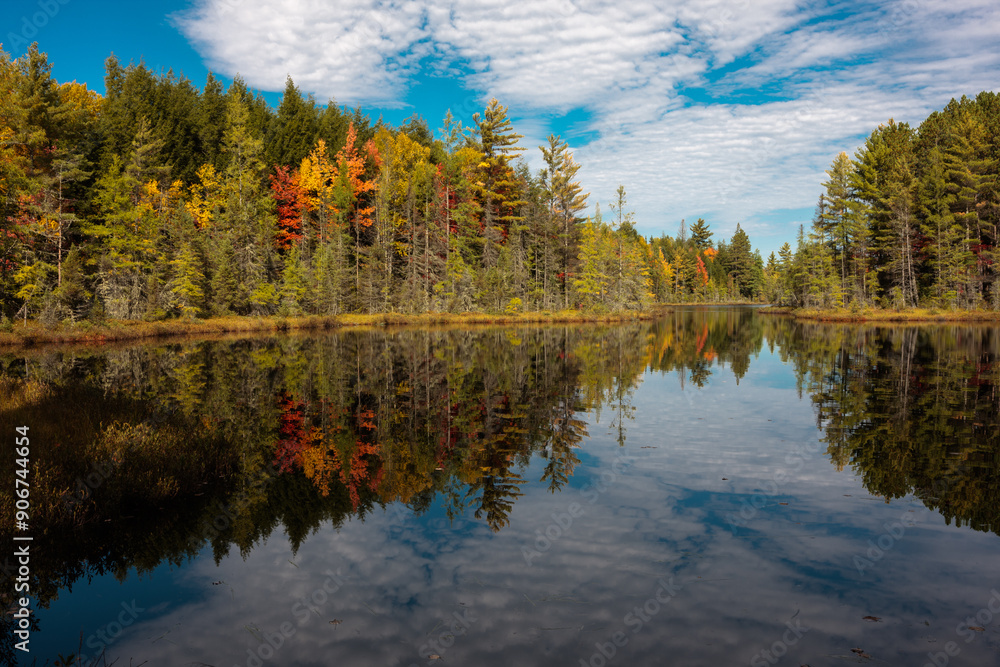 Fototapeta premium The calm water of Devils Lake near Land O Lakes, Wisconsin reflects the billowy clouds overhead in early October, directly leading to the distant shore.