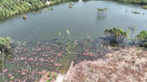 Aerial drone view of flooded sand pit. Forest submerged in a lake. Sunken sandpit with clear water.Lake District, swallow hole flooded as a result of the mining damage Pomorzany mine in Olkusz,Poland