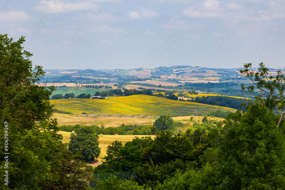 Naklejka premium Paysage agricole de collines, de haies et de forêts de la vallée de la Lèze depuis le village de Carla-Bayle