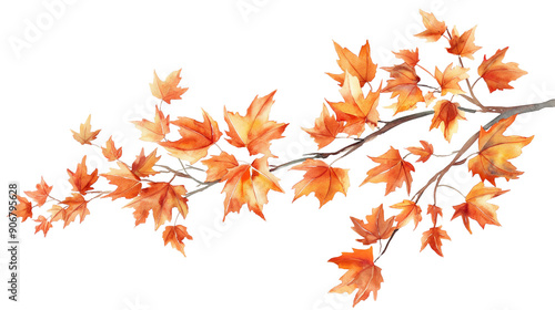 A watercolor painting of a tree branch with many leaves isolated on a transparent background