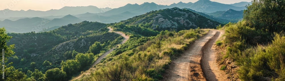 Scenic mountain trail winding through lush greenery with stunning distant peaks under a clear sky during sunset. Scenic mountain trail winding through lush greenery with stunning distant peaks under a clear sky during sunset.
