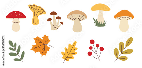 Simple flat style mushrooms and autumn leaves set