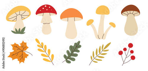 Simple flat style mushrooms and autumn leaves set