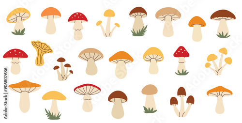 Simple flat style mushrooms set. Hand drawn cute and cozy design elements. Fall, autumn season