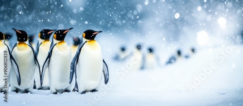 A group of penguins are standing in the snow. The penguins are all facing the same direction