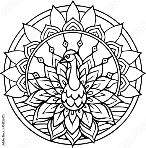 peacock adult book coloring mandala vector
