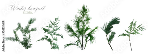 Mix of seasonal herbs and plants vector collection. Christmas winter greenery. Green pine, cedar, green spruce, evergreen stems. Watercolor winter bouquet style set. Elements are isolated and editable