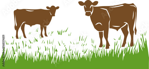 Cows on the ranch's meadow vector illustration