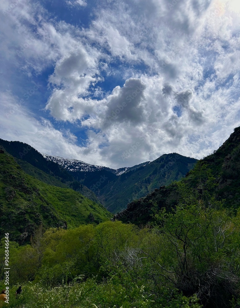 Obraz premium landscape with clouds