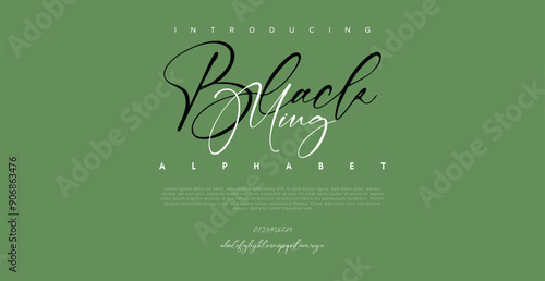 Hand drawn vector alphabet. Modern monoline signature script font. Elegant Signature Font. Best Alphabet Beautiful Calligraphy Signature Font lettering handwritten