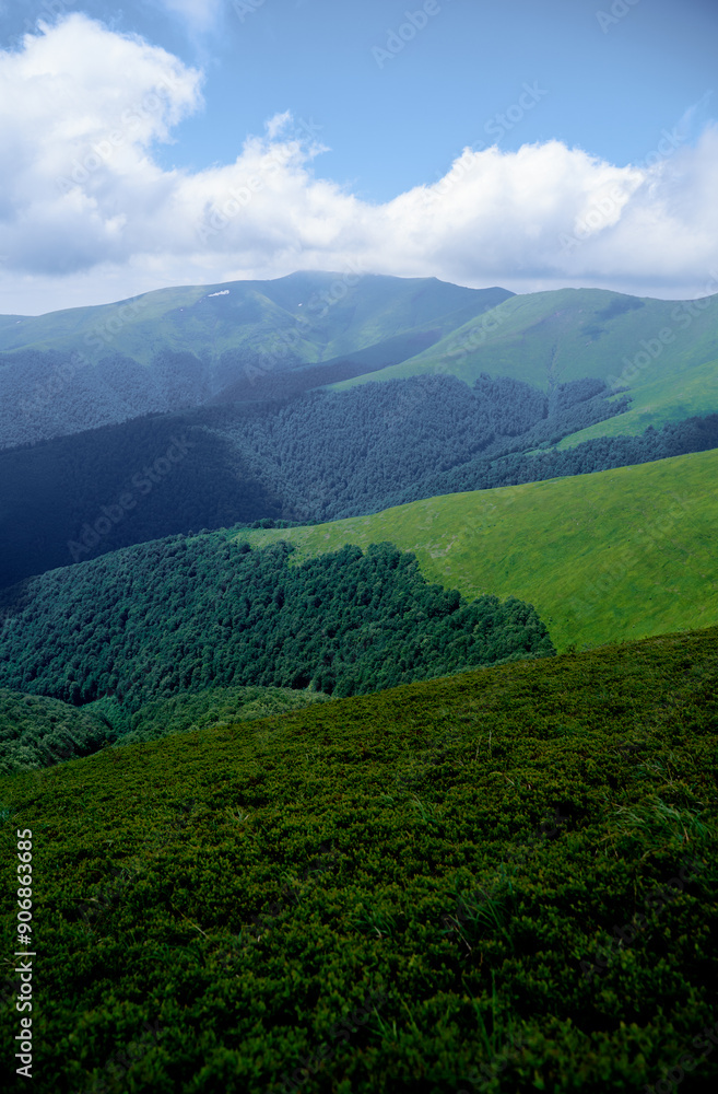 Fototapeta premium Beautiful mountains landscape with green hills. Carpathians, Ukraine.