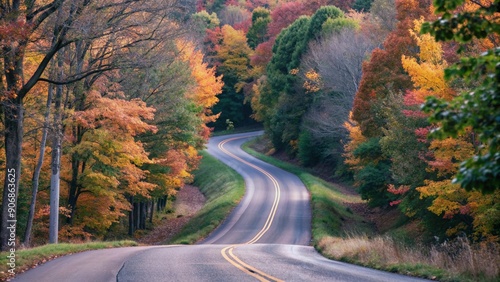 Scenic Winding Country Road with Autumn Leaves