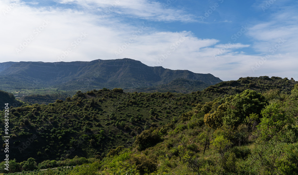 Fototapeta premium Gentle slopes blanketed with vibrant green shrubbery ascend to a majestic plateau, contrasting with the hazy blue sky in this tranquil landscape.