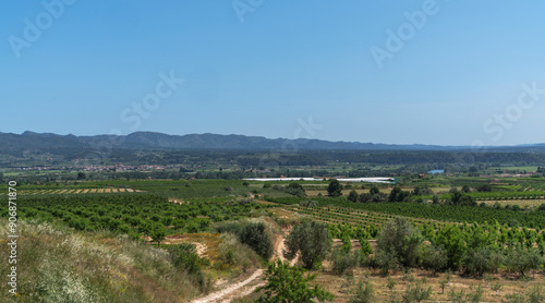 A scenic view of a fertile valley in Catalonia, with vineyards and olive groves stretching across the landscape. The distant hills and mountains provide a stunning backdrop under a clear blue sky.