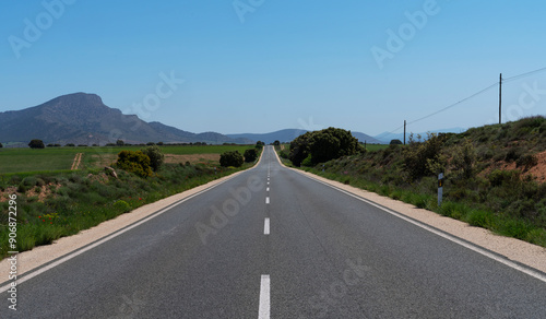 A long, straight road stretches into the horizon, flanked by green fields and distant rolling hills. The clear blue sky and scattered bushes on the roadside
