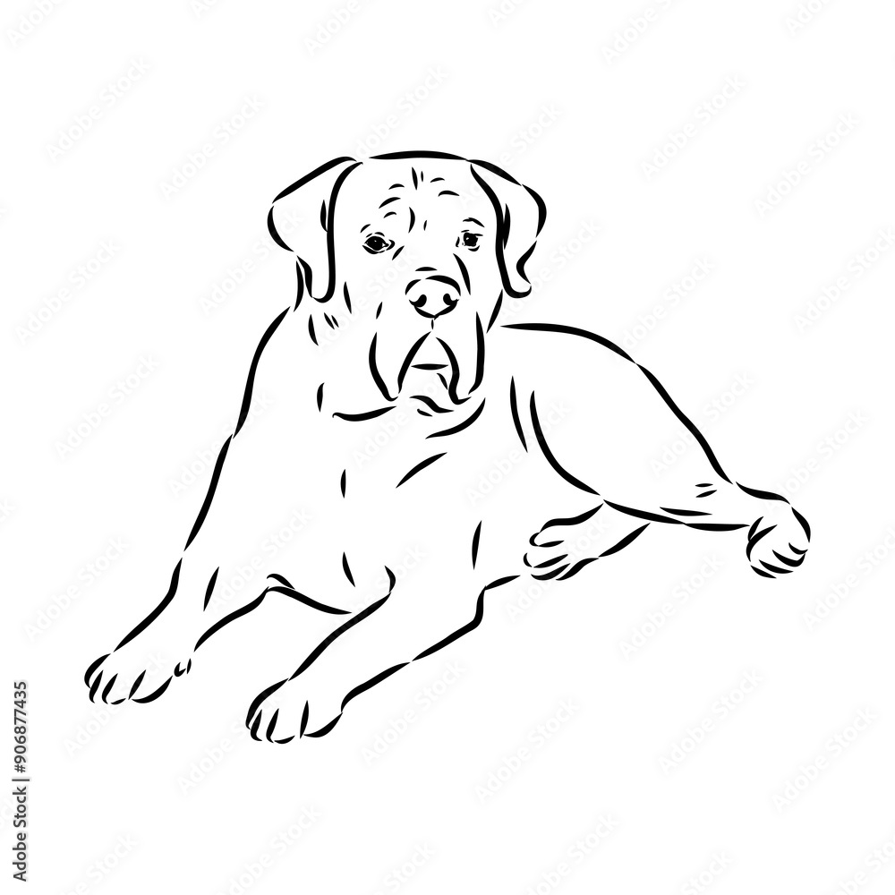 Fototapeta premium Hand drawn sketch of american bully. Graphical dog isolated on white background.