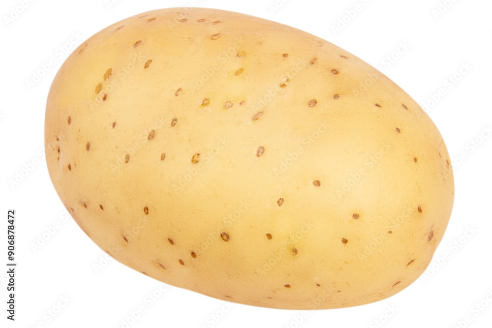 Young potatoes on a blank empty background. Young potatoes on a blank empty background.