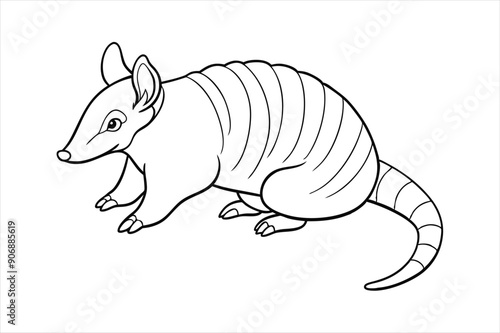 armadillo line art vector