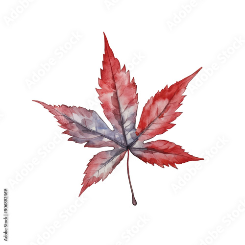 watercolor autumn leaves in red color ilustration, white background