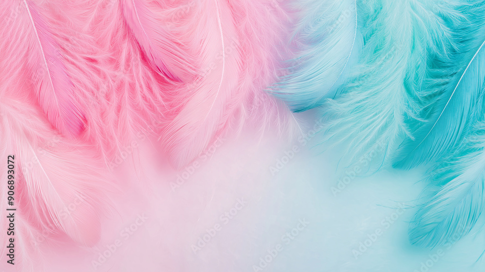 Soft pastel-colored feathers on light blue background with copy space Soft pastel-colored feathers on light blue background with copy space